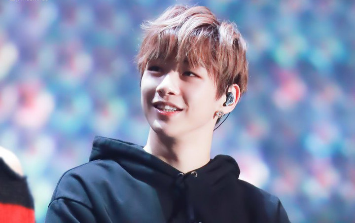 Terungkap Alasan Kang Daniel Menghilang karena Stres, Fans Berikan Dukungan