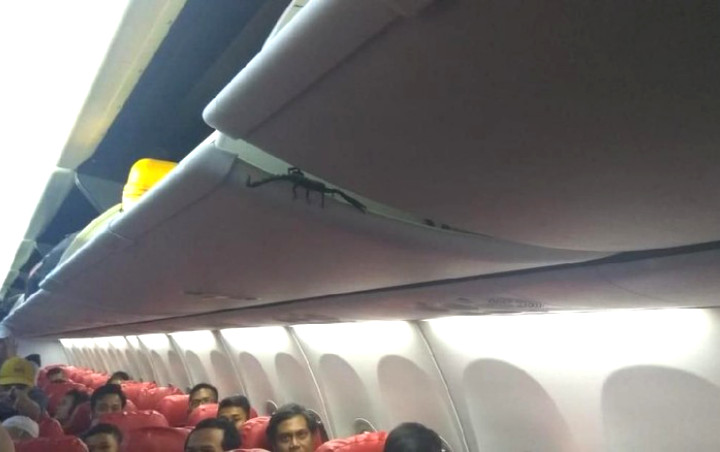 tempat duduk pesawat lion air