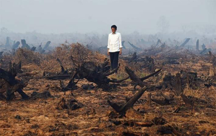 Tanggapan KLHK Soal Klaim Jokowi Pemerintah Berhasil Atasi Kebakaran Hutan