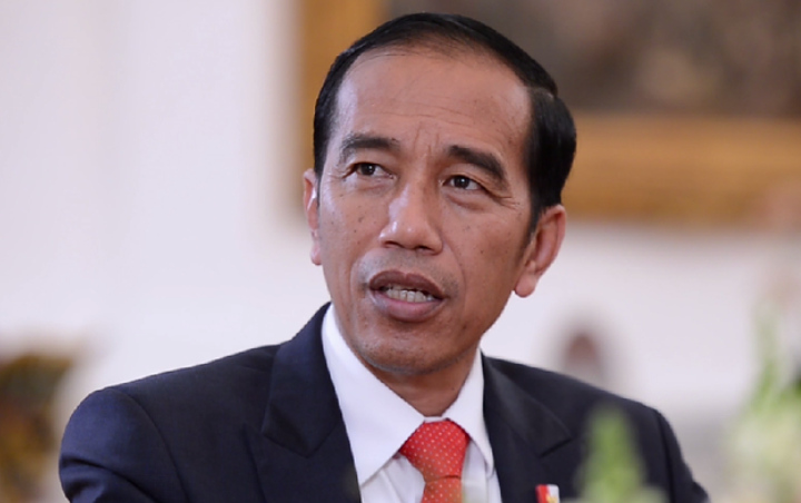  Jokowi Ungkap Alasan Percepat Program Sertifikasi Tanah