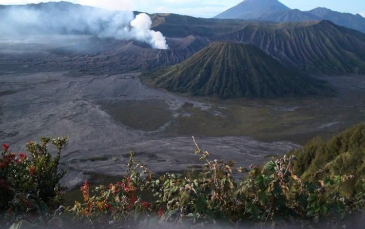 Wisatawan Akui Lebih Antusias Lihat Pemandangan Gunung Bromo Saat Erupsi, Seperti Apa?