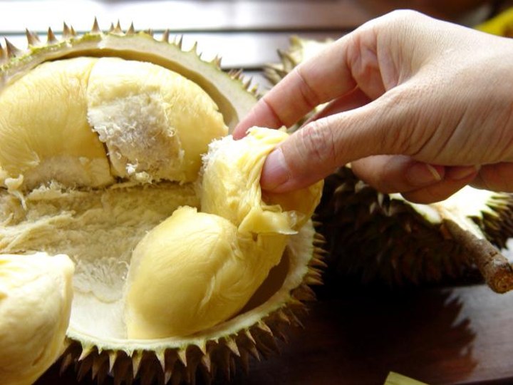 Makan Durian dengan Porsi yang Wajar