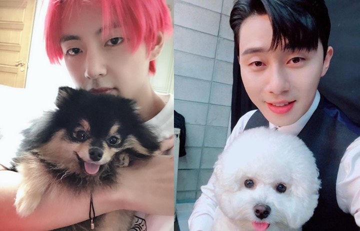 Tak Cuma V BTS dan Park Seo Joon, Anjing Mereka Pun Ikut Berteman