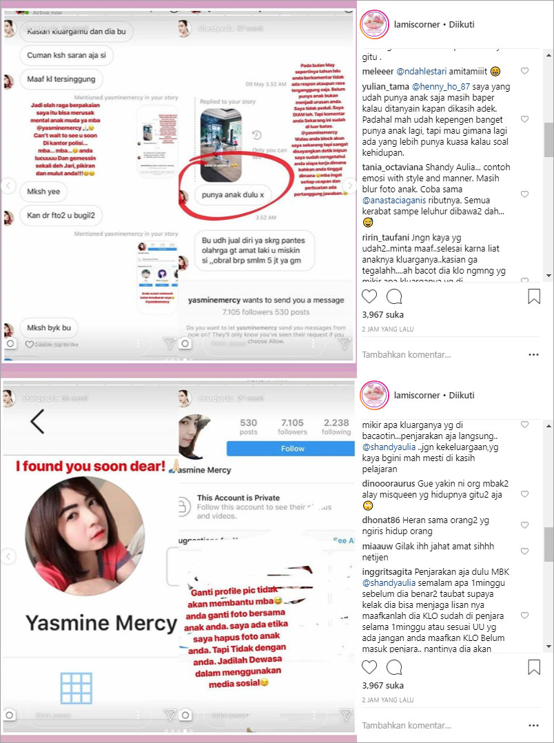 Shandy Aulia Bakal Polisikan Haters, Bukti Komentar Jahat Bikin Netter Ikut Geram 2