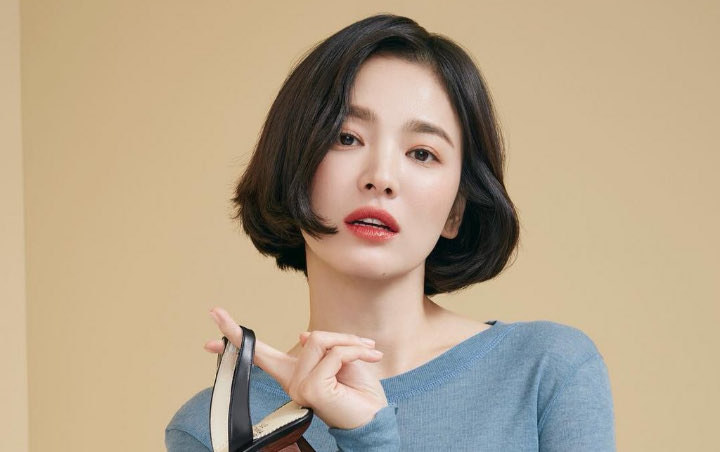 Profesor Universitas Sungshin Soal Song Hye Kyo