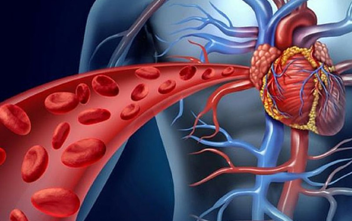 Cegah Stroke dan Serangan Jantung, Ketahui 8 Makanan yang dapat Memperlancar Aliran Darah