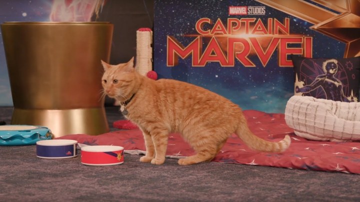 Goose Jadi Pendongkrak Rating 'Captain Marvel'