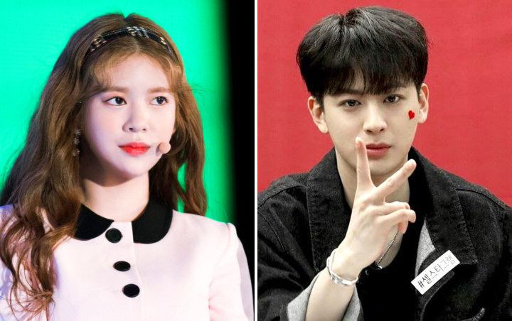 Daisy Absen dari Promosi Comeback Momoland Karena Skandal Kencan dengan Yunhyeong iKON?