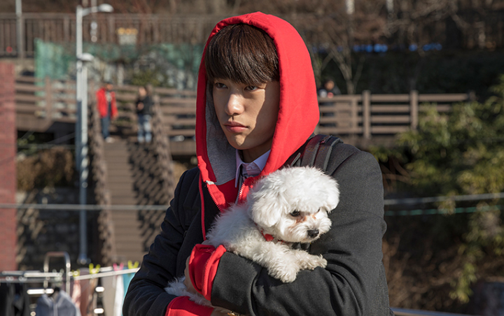 Jinyoung GOT7 Pamer Kedekatan dengan Anjing di 'He is Psychometric', Wajah Super Tampan Curi Fokus