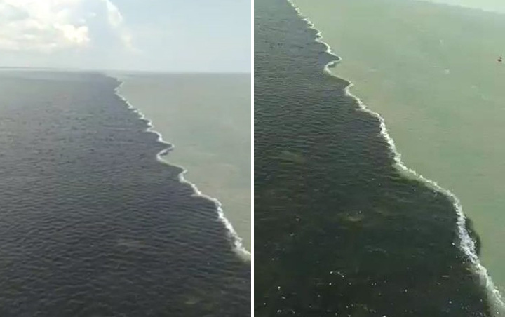 Air Laut Di Bawah Jembatan Suramadu Terbelah Dua Bak Teluk Alaska, Begini Penjelasan Pakar