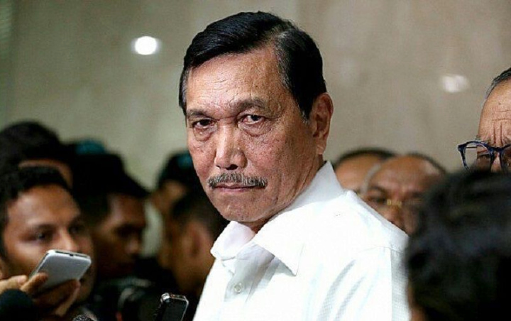 Menteri Luhut Ancam Boikot Produk Uni Eropa Usai Merasa Sawit Indonesia Didiskriminasi