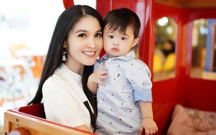 Raphael Putra Sandra Dewi Punya Jet Pribadi, Netter Langsung Geger