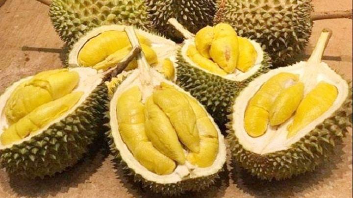 Jangan Pernah Membawa Makanan yang Memiliki Bau Tajam