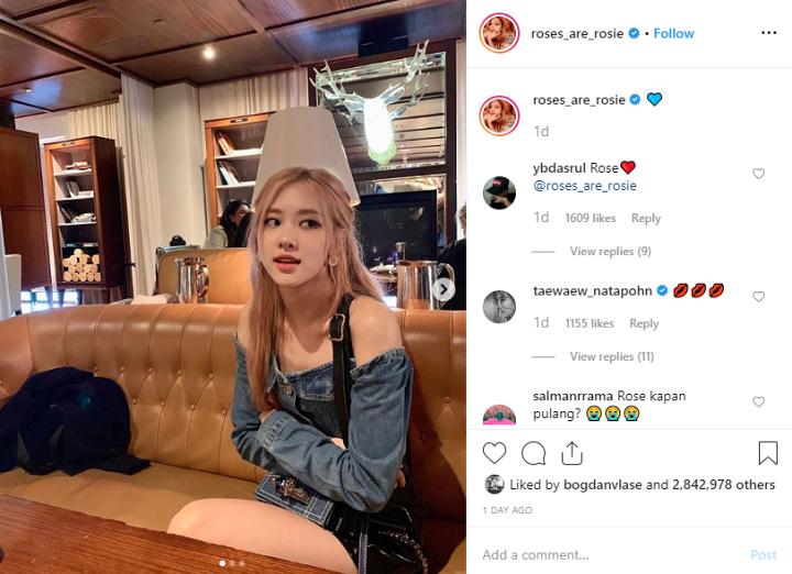 Rose Black Pink Cantik di Postingan Terbaru