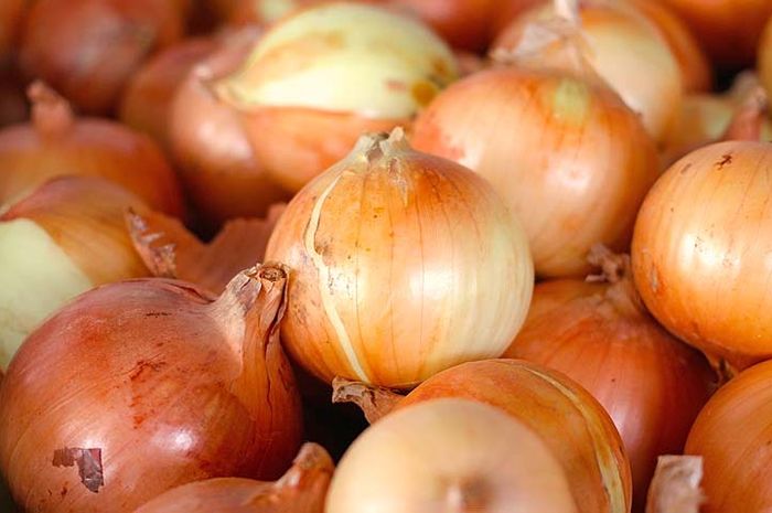Manfaatkan Bawang Bombay untuk Obat Asma