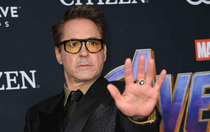 Robert Downey Jr. Sebut Ada Satu Teori 'Avengers: Endgame 