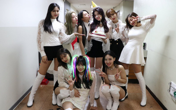 Netter Debatkan Apakah MV 'Fancy' Twice Jiplak Girl Grup Jepang Ini