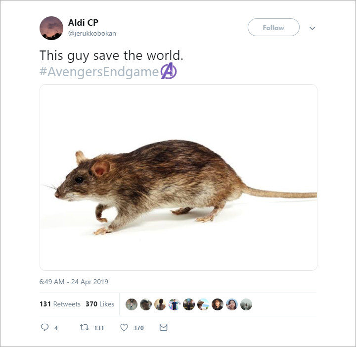 Tikus penyelamat avengers