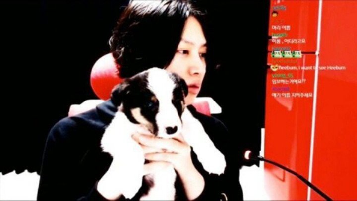 Heechul Super Junior Jadi Sorotan Gara-Gara Anjing, Kisahnya Bikin Netter Miris
