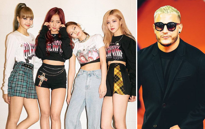 Ditanya Soal Kolaborasi Bareng BLACKPINK, DJ Snake Bikin Syok Beri Jawaban Ini