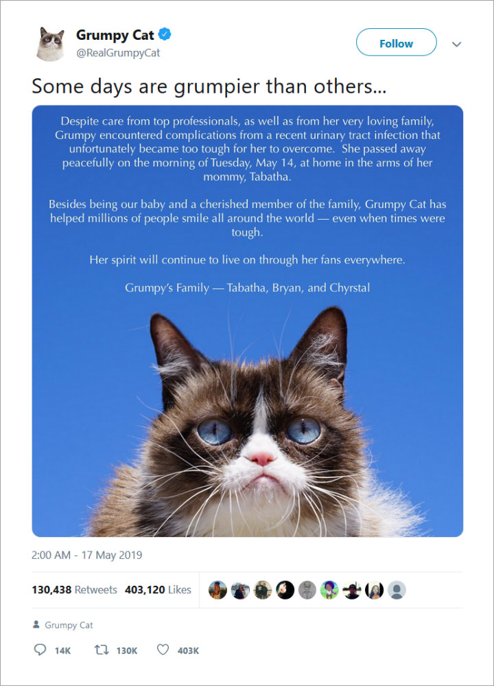 realgrumpycat