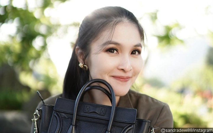 Sandra Dewi Disewakan 1 Studio Khusus Dari Disney, Netter 