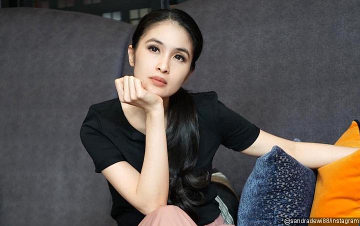 9 Potret Ini Buktikan Sandra Dewi Fans Berat Disney, Sampai Dijuluki 'The Real Princess' Loh
