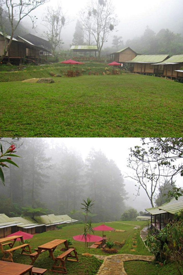Berkemah Bersama Keluarga di D’Jungle Private Camp, Puncak, Bogor