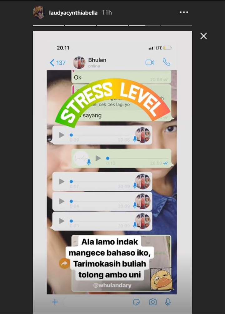 Curhatan Laudya Cynthia Bella
