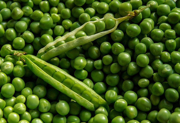 Kacang Polong Yang Kecil Ternyata Sangat Bergizi
