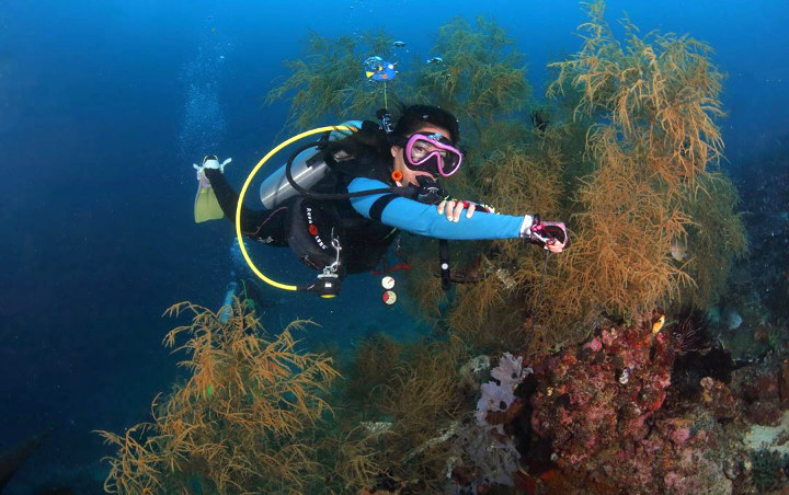 Hobi Menyelam? Intip 8 Rekomendasi Wisata Diving Di Indonesia, Enggak Kalah Sama Punya Luar Negeri!