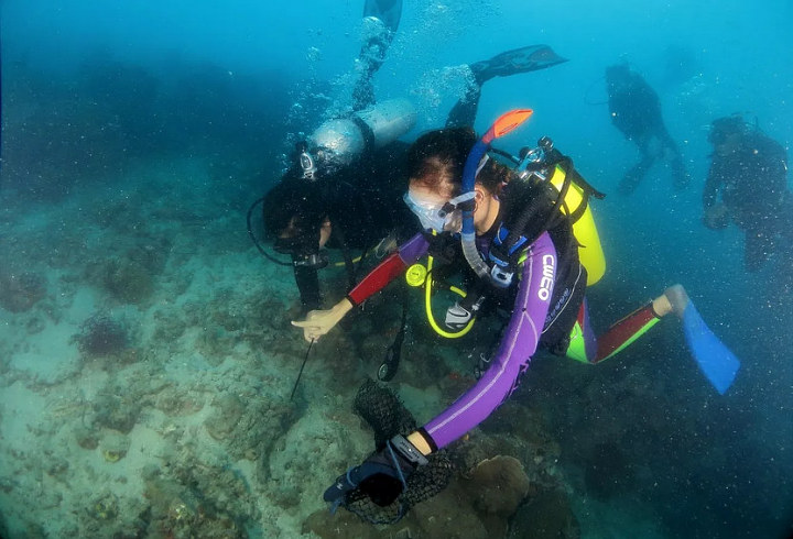  Jajal Keindahan Kepulauan Seribu Ibukota Punya