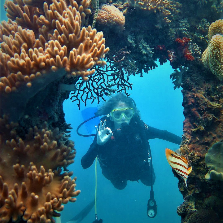 Karimunjawa Memang Sudah Terkenal Keindahan Bawah Lautnya