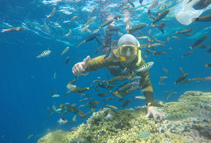 Pulau Menjangan Di Bali Yang Dijamin Indah Banget