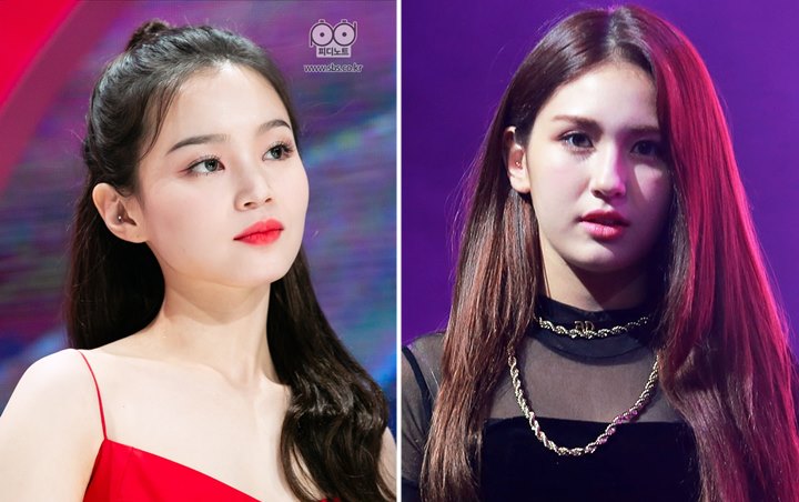 Netter Soroti Ranking Lagu Lee Hi dan Jeon Somi di Chart, Kredibilitas Melon Dipertanyakan