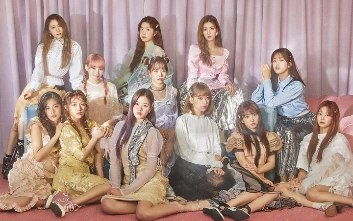 Fans Langgar Privasi, Agensi Ungkap Member IZ*ONE Alami Tekanan Mental dan Fisik