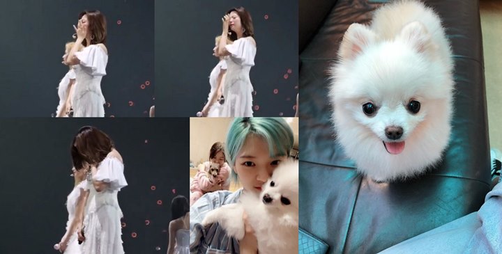 Ditinggal Mati Sosok Kesayangan, Jeongyeon Twice Tak Bisa Tahan Tangis Di Konser