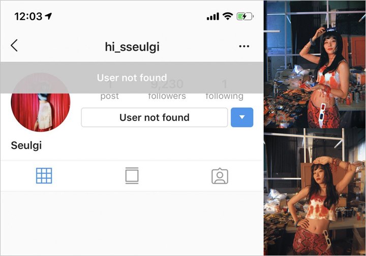 Seulgi Red Velvet Bikin Akun Instagram Pribadi Tapi Langsung Nonaktifkan, Kenapa?
