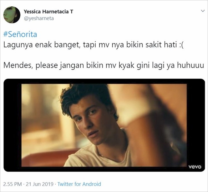 Kocaknya Netizen Sebut MV \'Senorita\' Shawn Mendes dan Camila Cabello Bikin Panas Hati