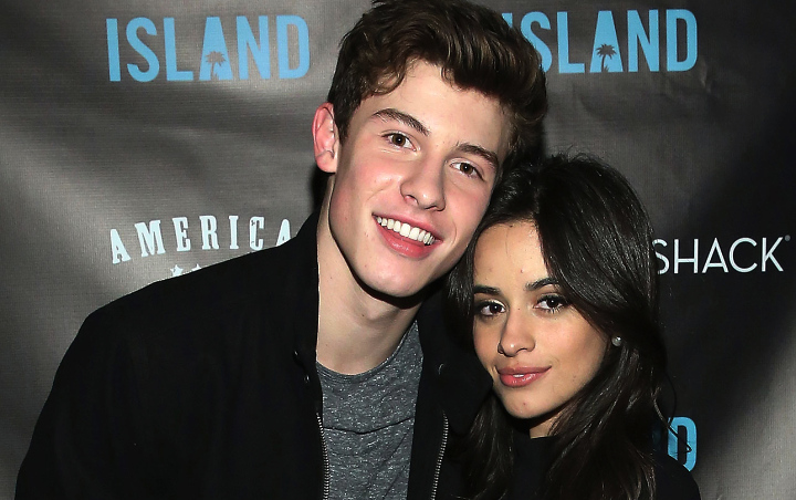 Shawn Mendes dan Camila Cabello Disebut Mirip Bintang Film Porno Usai Bagikan Foto BTS 'Senorita'