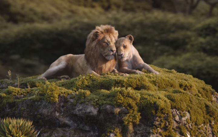 Promo Baru 'The Lion King' Tampilkan Duet Soundtrack Romantis 'Can You Feel the Love Tonight'