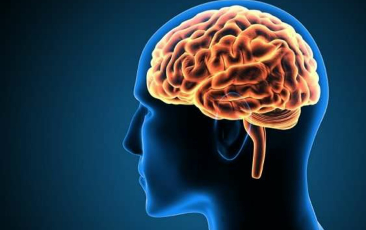 8 Kebiasaan Sepele Ini Bisa Merusak Otak hingga Menyebabkan Kematian, Hentikan Sekarang Juga!