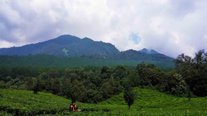 Burangrang, Wisata Anti Mainstream yang Merupakan Rangkaian Pegunungan Purba