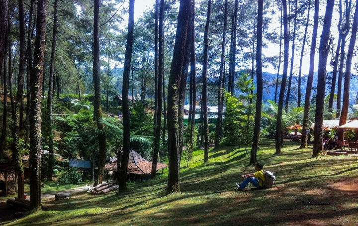 Terminal Grafika Cikole, Wisata Anti Mainstream dan Beda yang Ada di Bandung