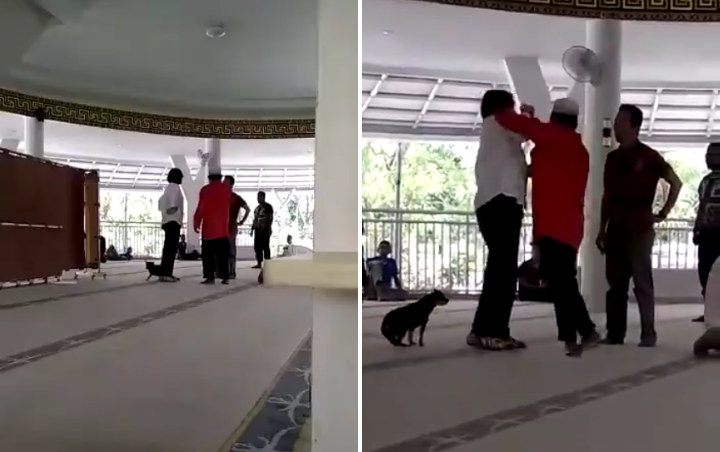 Polisi Amankan Wanita yang Ngamuk Bawa Anjing Masuk Masjid, Pengurus Minta Waspadai Adu Domba