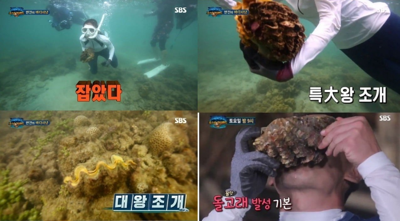 \'Laws of the Jungle\' Dikecam Usai Tangkap dan Konsumsi Kerang Raksasa di Thailand