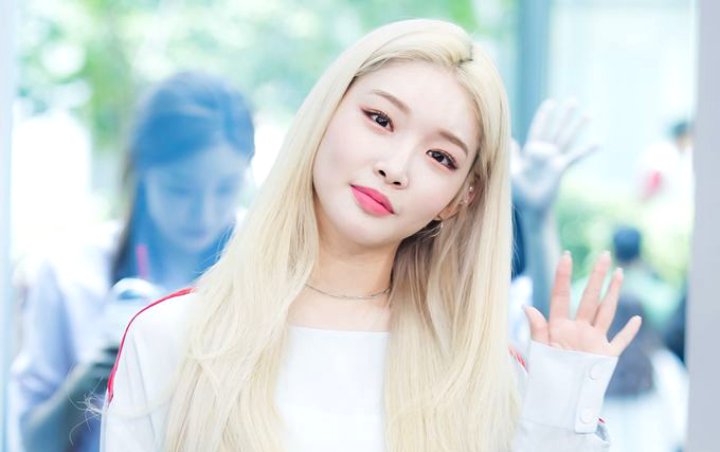 Kim Chung Ha Ungkap Alasan Berkeinginan Gabung Reuni IOI Sedangkan Telah Familiar Jadi Solois Kim Chung Ha Ungkap Alasan Berkeinginan Gabung Reuni IOI Sedangkan Telah Familiar Jadi Solois