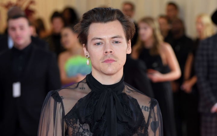 Harry Styles Diincar Perankan Prince Eric di 'The Little Mermaid', Setuju?