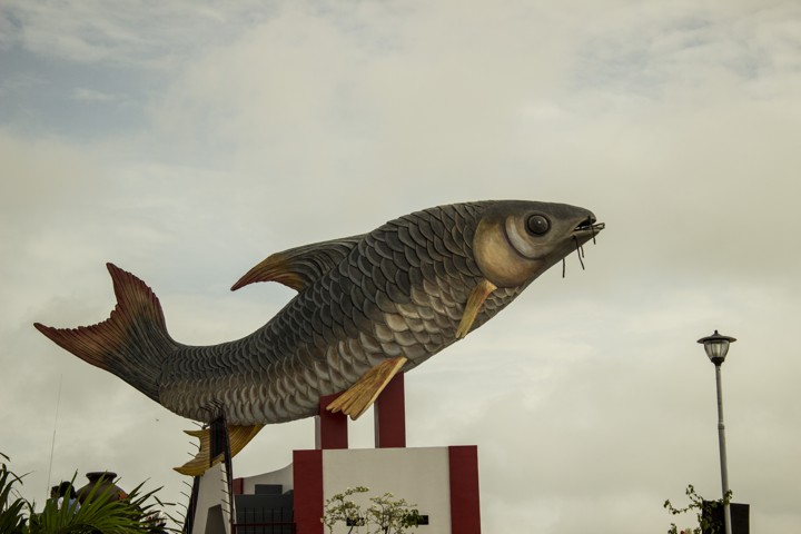 Tugu Ikan Jelawat Jadi Ikon Baru Kota Sampit yang Punya Sejarah Unik