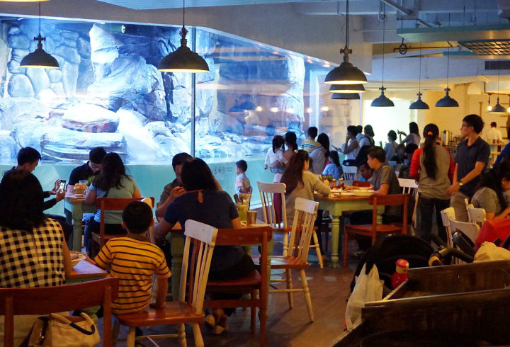 Serunya Makan Bareng Pinguin Di Pingoo Neo Soho Tanjung Duren Selatan